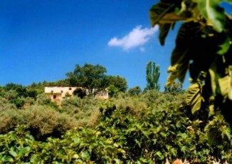 Vakantieboerderij La Oropendola
